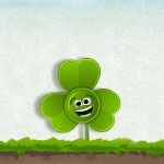 Clover Flower