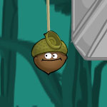 Doctor Acorn