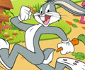 Bugs Bunnys Hopping Carrot Hunt