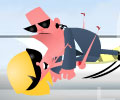 Celebrity Hunt