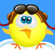 Chicken Flying School