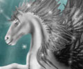 Magical Creatures