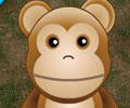 Monkey Boom