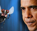 Obama VS Fly