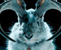 Snackalope