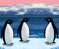 Turbocharged Penguins
