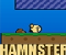 HAMNSTER