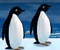 Turbocharged Penguins