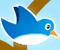 Tweet Tweet